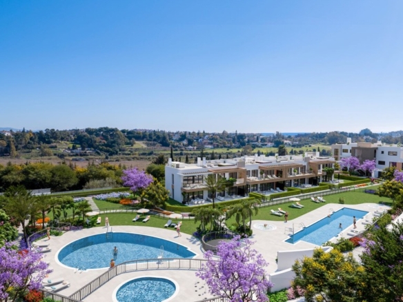 Apartment in New Golden Mile