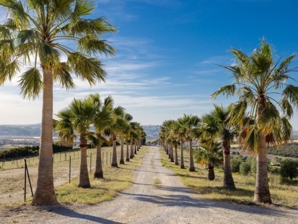 Villa in Arcos de la Frontera